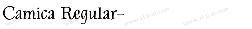 Camica Regular字体转换